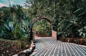 Arenal Palms