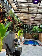 Arenal Palms