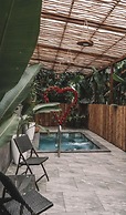 Arenal Palms