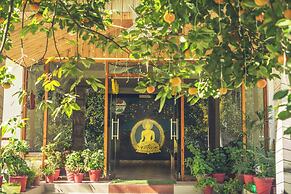 Persimmon Farmstead