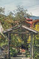 Persimmon Farmstead