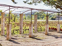 Charming Cottage in Oppede Amidst Vineyards