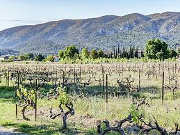 Charming Cottage in Oppede Amidst Vineyards