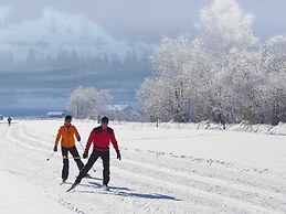 Holiday Home in ski Area in Mittersill