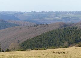 Modernes Apartment mit Parkplatz in der Eifel
