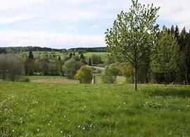 Nice Apartment in Allrode With Private Terrace