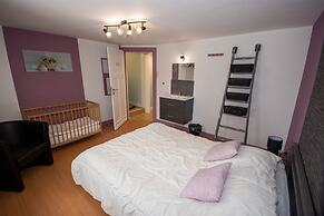 Spacious Mansion in Waimes With Sauna