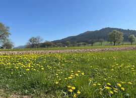 Comfortable Holiday Home in a Beautiful Location