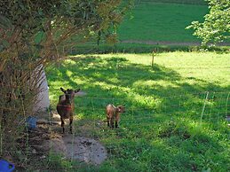 Comfortable Holiday Home in a Beautiful Location
