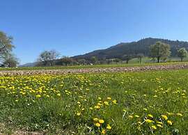 Comfortable Holiday Home in a Beautiful Location