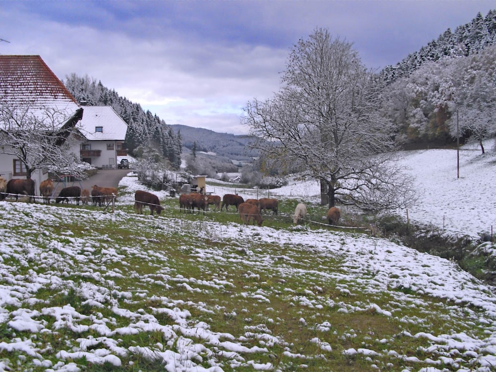 Comfortable Holiday Home in a Beautiful Location