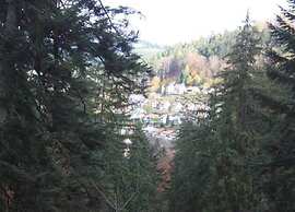 Comfortable Holiday Home in a Beautiful Location