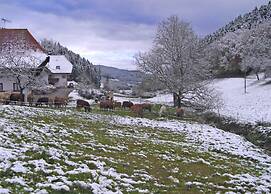 Comfortable Holiday Home in a Beautiful Location