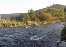 Delightful Holiday Home in Battenberg Near Forest