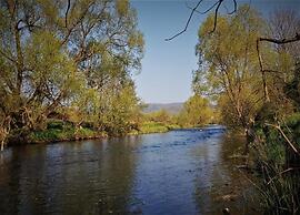 Delightful Holiday Home in Battenberg Near Forest