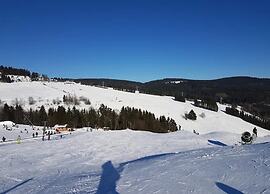 Large Apartment in Winterberg-neuastenberg Located Directly on a ski A