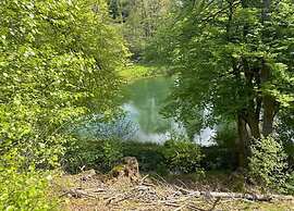 Large Apartment in Winterberg-neuastenberg Located Directly on a ski A