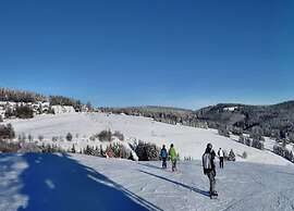 Large Apartment in Winterberg-neuastenberg Located Directly on a ski A