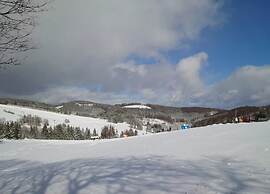 Large Apartment in Winterberg-neuastenberg Located Directly on a ski A