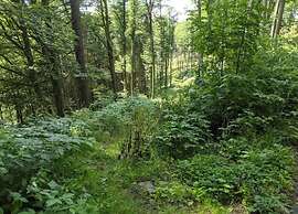 Large Apartment in Winterberg-neuastenberg Located Directly on a ski A