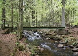 Ferienhauser im Schierke Harzresort