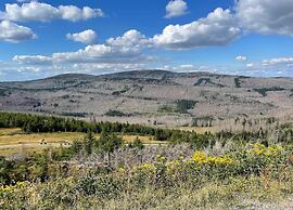 Ferienhauser im Schierke Harzresort