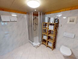 Chalet in Neukirchen