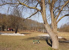 Apartment in Malchow With Terrace
