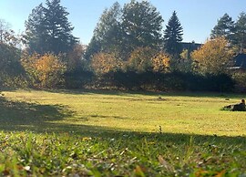 Comfortable Apartment in Nemojov Near Forest