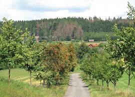 Comfortable Apartment in Nemojov Near Forest