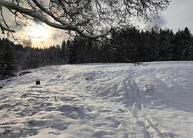 Comfortable Apartment in Nemojov Near Forest