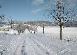 Comfortable Apartment in Nemojov Near Forest
