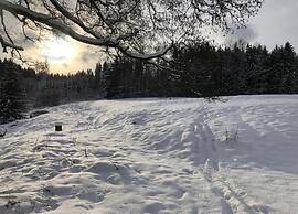 Comfortable Apartment in Nemojov Near Forest