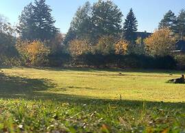 Comfortable Apartment in Nemojov Near Forest