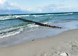 Apartment, Zingst