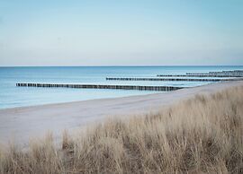 Apartment, Zingst
