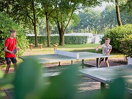 Cozy Tiny House With a Nice Terrace Near Eindhoven