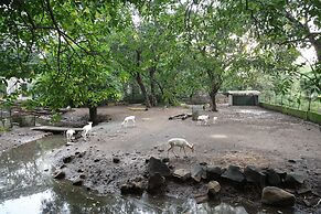 Aayush Resort Karjat
