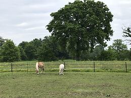 Beautiful Holiday Home in Vlaanderen With Shared Pool