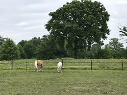 Beautiful Holiday Home in Vlaanderen With Shared Pool