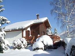 Nice Chalet With Dishwasher, in the High Vosges