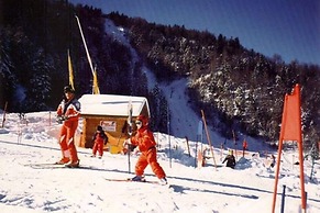 Nice Chalet With Dishwasher, in the High Vosges