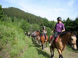 Nice Chalet With Dishwasher, in the High Vosges