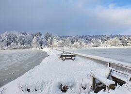 Comfortable Waterfront Apartment in Hahnenklee