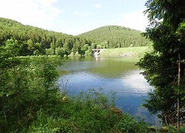 Comfortable Waterfront Apartment in Hahnenklee