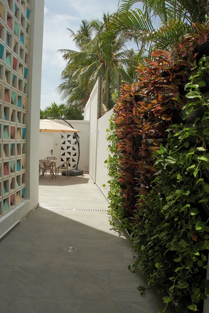 Zafi Hotel