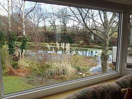 Millpond Chalet Retreat in Machynlleth