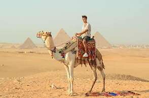 Pyramids On The Spot View