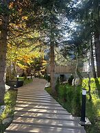 Monte Pine Chalet 1