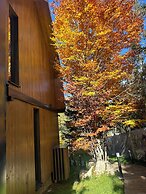 Monte Pine Chalet 1
